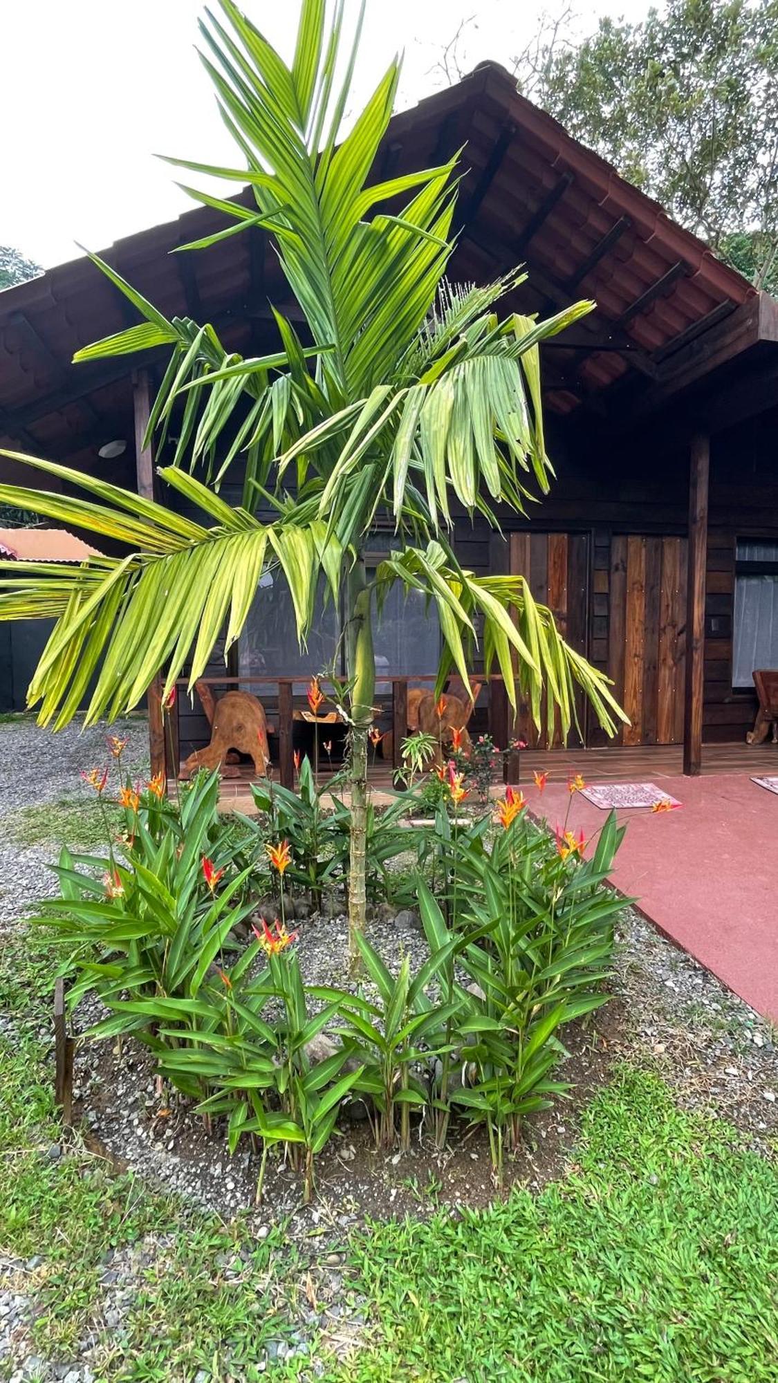 La Fortuna Waterfall Bungalows Exterior foto